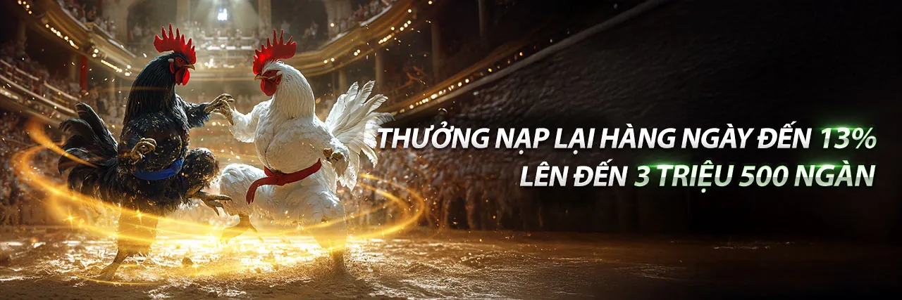 Đá gà trực tuyến kịch tính tại bu88 win