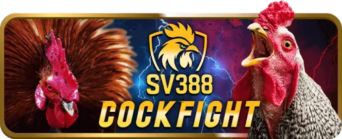 Thưởng độc quyền cho thành viên VIP bu88 win
